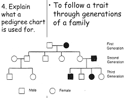 Topic Genetics Aim How Do We Use Pedigree Charts To Follow