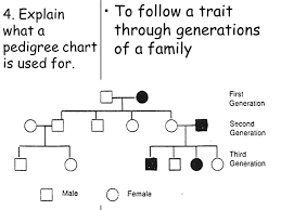 topic genetics aim how do we use pedigree charts to follow