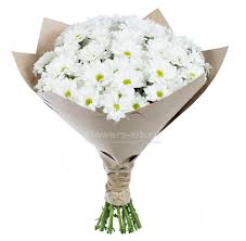 Check spelling or type a new query. White Camomile At The Price 7260 Fast Delivery Of Bouquets Flowers And Gifts In Liverpool