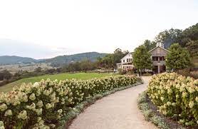 Landscape View Vineyard Garden Workshops Monticello Wine Trail