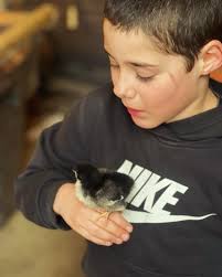 Kat & Kolin (@starryridgefarm) • Instagram photos and videos