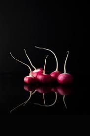 Still Life Of Radishes Art Et Cuisine Photo Alimentaire Stylisme Culinaire