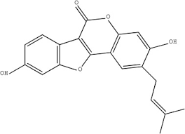 Image result for Psoralea