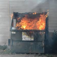 Language Log Dumpster Fire
