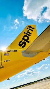 Image result for Dark Yellow Green 2024 Fleet