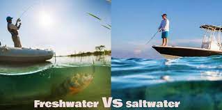 Shortly freshwater fishing means fishing in rivers, lakes, etc; Freshwater Fishing Vs Saltwater Fishing 10 Major Factors