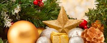 Orkin is the termite control expert. How To Have Pest Free Celebrations This Festive Season Take Care Termite Pest Control Services