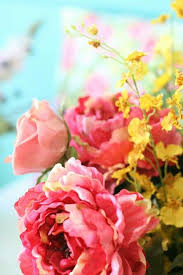 Pin Van Hakoe Op Lovely Bloemplanten Bloemen Planten