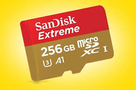 Best high capacity sd card: How To Buy The Best Sd Card For Your Camera Phone Tablet Pc World Australia