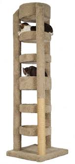 The living room, dining room or bedroom is the best spot. Cat Trees For Large Cats You Ll Love In 2021 Visualhunt