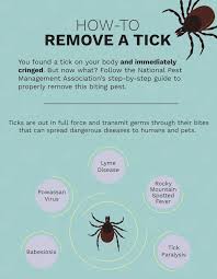 Pin On Fleas Ticks