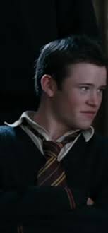 Seamus' Strange Ability Revealed in Harry Potter POV TikTok