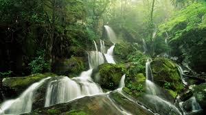 Download best galaxy wallpaper 1080p images, backgrounds, pictures in high. 50 1080p Laptop Wallpapers On Wallpapersafari
