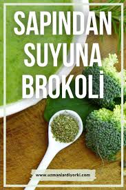 Sapindan Suyuna Brokoli Brokoli Yemek Yemek Tarifleri