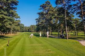 Hitta information om skepparslövs golfklubb. Golf Pa Ahus Ostra Gront Skont Och Vackert Flyingdryden