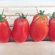 How many tomatoes are in a pound? Roma Tomato Seeds Urban Farmer