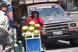 La mayoría se ocupa en agricultura, ganadería, caza y silvicultura 28,3%, comercio el 18,1%, manufactura 10,7% y construcción 6,8% entre las de más aporte, solo el 7,9% están con empleo en el sector público y el 92,1% en el privado. Empleo En Ecuador 2019 La Poblacion Menos Asegurada En Los Ultimos Nueve Anos