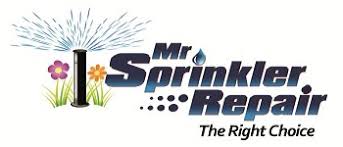 Maybe you would like to learn more about one of these? Plano Sprinkler Repair Lawn Drainage Landscape Lighting