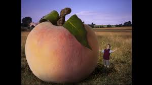Pixie dust, magic mirrors, and genies are all considered forms of cheating and will disqualify your score on this test! James And The Giant Peach Chapter 6 Youtube