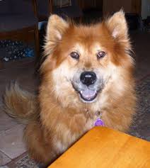 Profile for Bringing in Beauty