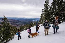 Winter hikes in new hampshire. The Explorers Mount Wonalancet Winter Hike New Hampshire Magazine