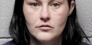 Lesley Sara Hendrix Archives