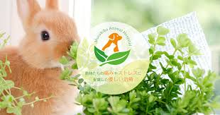 むすび葉動物病院 安八町や大垣市や瑞穂市の動物病院