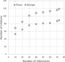 Image result for Trachyphrynium braunianum