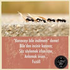 Fuzuli Guzel Soz Ozlu Sozler Manevi