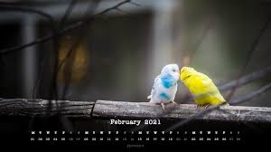 Though the support for screensaver dropped in ubuntu recently, you can still install xscreensaver and enable it in. Free February 2021 Calendar Wallpapers Desktop Mobile