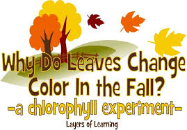 Layers Of Learning Science Hands On Experiments Family Style Learning Science Third Grade Lesson Plans Fall Lesson Plans