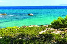 We did not find results for: Oi 7 Kalyteres Paralies Sthn Xalkidikh Touristikanea Gr