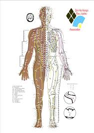 39 inquisitive acupressure pressure points chart