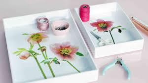We did not find results for: Awesome Diy Plant Decoupage Tutorials