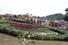 Ada banyak sistem yang digunakan untuk melakukan konservasi. Kembangkan Master Plan Kebun Raya Batam Batampos Co Id