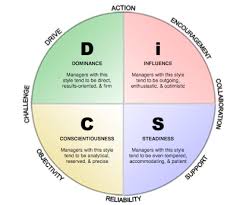 43 factual disc assessment chart