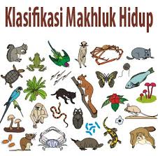 Maybe you would like to learn more about one of these? Klasifikasi Berdasarkan Struktur Morfologi Dan Anatomi