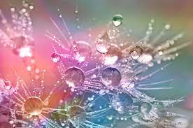 Trickle of pink water free photo. Raindrop Hd Wallpapers Backgrounds