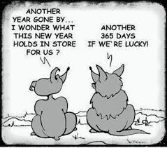 Happy New Year Sayings Funny New Year Jokes Happy New Year Quotes Funny Funny New Year