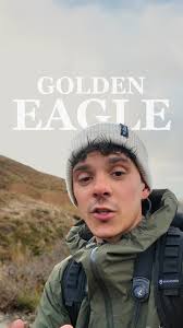 A stunning male Emperor Moth