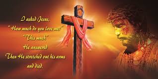 In short, it is a chronological reading of the bible, with extensive helps included with it. Jesus Crucifixion Quotes Quotesgram