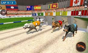 Vous trouverez la collection la plus importante de jeux de course gratuits pour toute la dans bon nombre de jeux de course, vous pouvez choisir et personnaliser votre propre véhicule, comme dans l'émission télévisée pimp my. Tournoi De Course De Chiens Reels Pour Android Telechargez L Apk