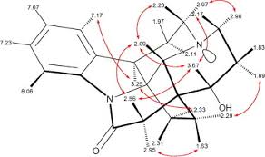 Image result for Schizozygia coffaeoides