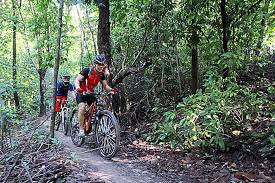 Kiara hills are a great spot for training because you can do a flat 1km loop or do the kiara 5km hill loop. Happy Kiara Trails The Star