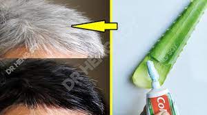 Rubbing aloe vera into your scalp and hair and letting it penetrate your hair follicles could condition and improve damaged, dry hair. White Hair To Black Hair Naturally With Aloe Vera Permanently 100 Works At Home Youtube