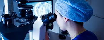 Image result for how successful is icsi treatment
