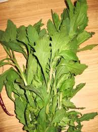 Image result for Dysphania