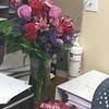 Get directions, reviews and information for hearts & flowers in mckinney, tx. Top 1 003 Avas Flowers Reviews Page 14