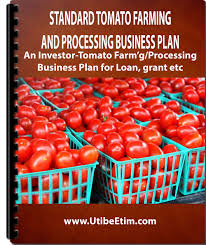 standard tomato farming and processing
