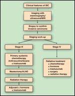 But one type of breast cancer, inflammatory breast cancer, announces its presence with obvious, visible symptoms. What Progress Have We Made In Managing Inflammatory Breast Cancer